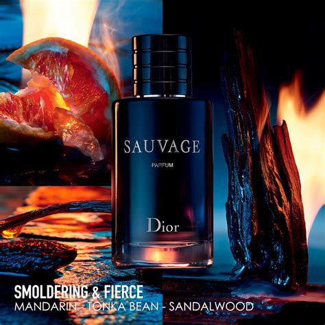 dior sauvage chogan|dior sauvage fragrance.